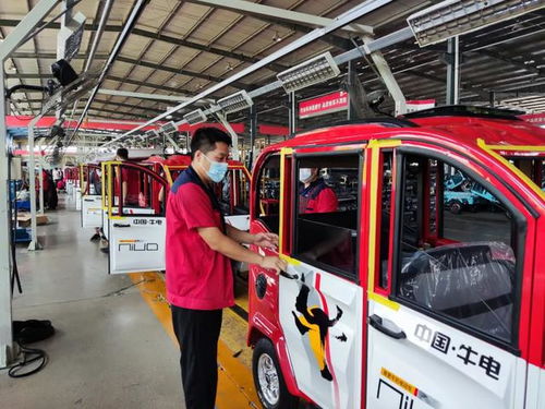 能上牌,接娃買菜都方便的 電動(dòng)小三輪 ,八大品牌都出手了