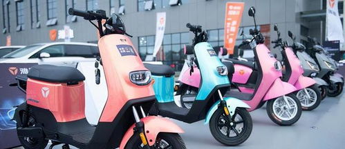 多年來騎電動汽車,哪個牌子的電池壽命更長 說明價(jià)格,質(zhì)量